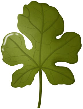 Karpuz Bitkisi Clipart Yeşil Meyve Yaprakları Çiçek Çizimi