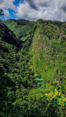 Semuc Champey 'in hava manzarası. Turkuaz renkli havuzları olan doğal bir anıt. Ormanın ortasındaki kireçtaşı köprüsünün tepesinde duruyor..