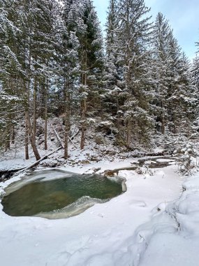 Karla kaplı bir ormanda donmuş bir gölet.