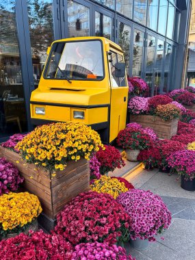 Küçük sarı bir araba cam bir binanın yanında duruyor ve bir sürü çiçek açan kasımpatı.