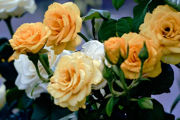 Bahçede güzel bir buket gül