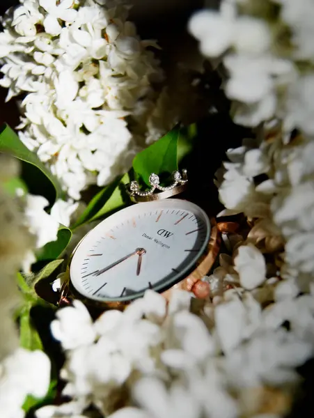 Siyah arkaplanda beyaz çiçekler