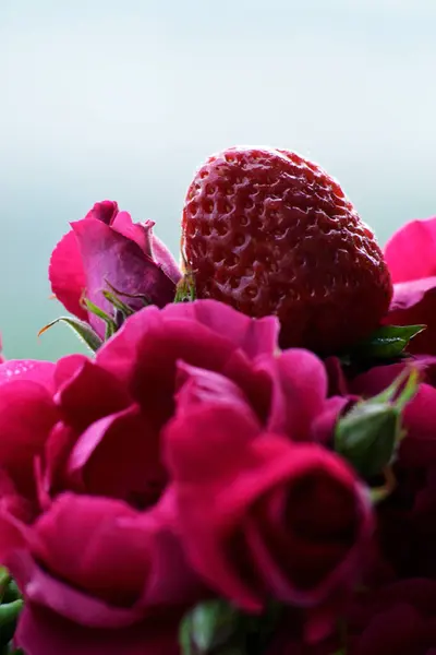 Bahçedeki güzel çiçekler