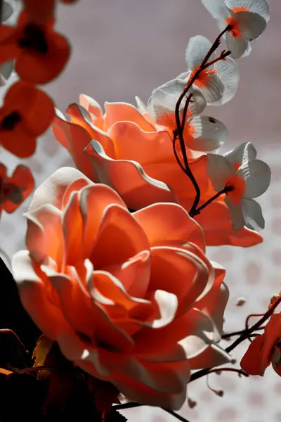 Bahçedeki güzel çiçekler