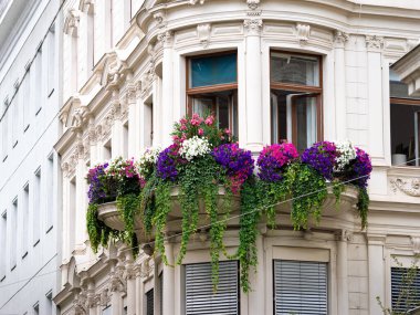 VIENNA, AUSTRIA - 28. Temmuz 2024: Arjantin ve Schwingasse köşesindeki bina cephesinde güzel çiçekler. Balkon çiçekleri ön cephenin süsü olarak.