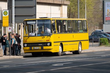 DRESDEN, ALMANY - 12. Nisan 2025: İkarus 260 otobüsü toplu taşıma için. Tarihi araç şehir içinde ekstra bir tur için kullanılıyor. Omnibus bir Macar şirketi tarafından üretildi..