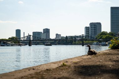 FRANKFURT, Almanya - 13. Mayıs 2025: Eiserner Steg (Demir Ayak Köprüsü) ana nehrin karşısındaki bina. FFM 'deki tarihi dönüm noktası, kentteki bir seyahat ve turistik merkezdir..