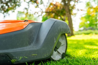 Çim biçme robotu taze kesilmiş çimlerde