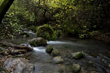 Majaceite nehri, ro Majaceite İspanyolca. Sierra de Grazalena, Cadiz ili, Endülüs, İspanya.