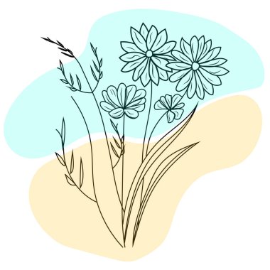 Vahşi çiçek botanik çizimi. Zarif çiçek çizimi. Doğa Bitkisi Vektörü. Organik bahçe çiçek açar. EPS 10.