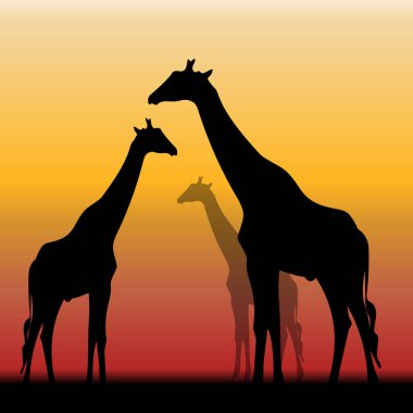 Zürafa silueti çizimi. Üç hayvan figürü. Afrika Günbatımı Vektörü. Vahşi yaşam geçmişi. EPS 10.