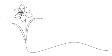 Sanatta baharı, zarafeti ve basitliği sembolize eden yapraklı çiçek açan nergis ağacının narin siyah beyaz çizimi. Renkli bir çiçek ikonu çizimi. Vektör illüstrasyonu