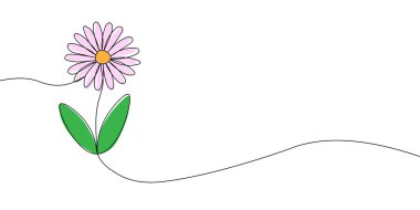 Doğayı, zarafeti ve sanatsal minimalizmi temsil eden, renkli yaprakları olan, sürekli açan bir papatya çizimi. Çiçek ikonu renginde tek bir çizgi. Vektör illüstrasyonu