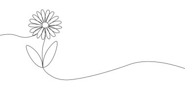 Yapraklı, doğayı, zarafeti ve sanatsal minimalizmi temsil eden, sürekli açan bir papatya çizgisi. Bir çiçek ikonu çizimi. Vektör illüstrasyonu