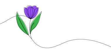 Sanatta doğayı, zarafeti ve basitliği sembolize eden, renkli yapraklarla çiçek açan bir çiçeğin narin çizimi. Renkli bir çiçek ikonu çizimi. Vektör illüstrasyonu