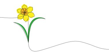 Sanatta baharı, zarafeti ve basitliği sembolize eden renkli yapraklı çiçek açan nergis çizimi. Renkli bir çiçek ikonu çizimi. Vektör illüstrasyonu