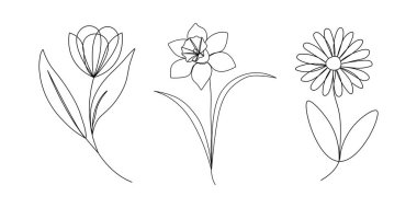 Bir lale, nergis ve papatya da dahil olmak üzere üç çiçeğin el yapımı minimalist bir şekilde çizilmiş basit bir dijital çizimi. Çiçek ikonunun aralıksız çizimi. Vektör illüstrasyonu