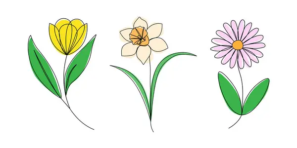 Bir lale, nergis ve papatya da dahil olmak üzere üç renkli çiçeğin el yapımı minimalist bir şekilde çizilmiş basit bir dijital çizimi. Çiçek ikonu renginde aralıksız çizilen bir çizgi. Vektör illüstrasyonu