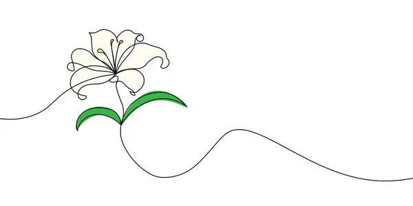 Beyaz arka planda minimalist bir tarzda yaratılmış yapraklarla renklendirilmiş çiçekli narin ve sanatsal bir çizim. Lily çiçek bir çizgi simgesi. Renkli bitkisel çiçekler. Vektör illüstrasyonu
