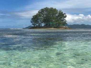 Kristal berrak sularla çevrili küçük bir tropikal adanın huzurlu bir görüntüsü. Ortasında mavi-yeşil bir deniz ve arka planda berrak ve parlak bir gökyüzünün altında dağlarla çevrili görkemli bir ağaç duruyor..