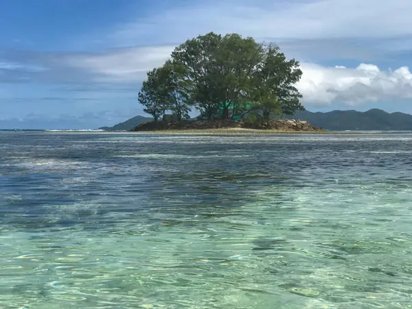 Kristal berrak sularla çevrili küçük bir tropikal adanın huzurlu bir görüntüsü. Ortasında mavi-yeşil bir deniz ve arka planda berrak ve parlak bir gökyüzünün altında dağlarla çevrili görkemli bir ağaç duruyor..