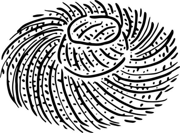 Sketchy Beach Hat Illustration for Label or Poster. Vector illustration.