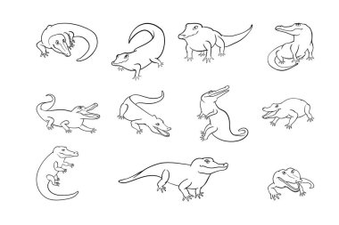 El çizimi timsah derlemesi koleksiyonu, el çizimi timsah resimlerinin sanatsal koleksiyonunu gösteriyor. İçinde dinamik pozlar, ifadeler ve karmaşık detaylar var. Bu set