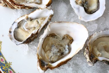 Taze istiridye gibi nefis deniz ürünleri.