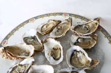 Taze istiridye gibi nefis deniz ürünleri.