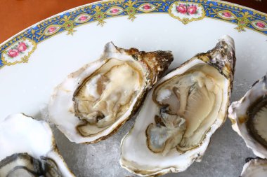 Taze istiridye gibi nefis deniz ürünleri.