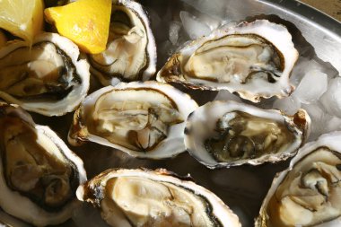 Taze istiridye gibi nefis deniz ürünleri.