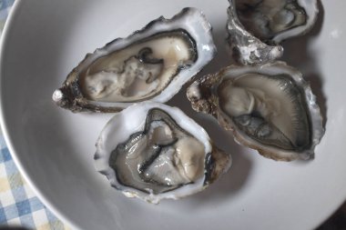 Taze istiridye gibi nefis deniz ürünleri.