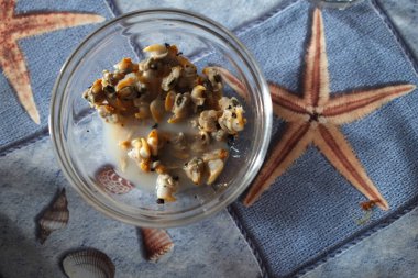 Deniz mahsulleri gibi midyeler.