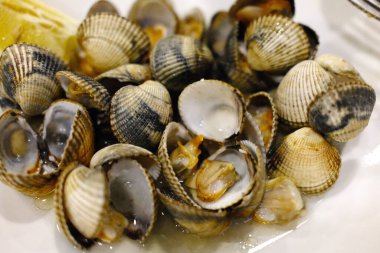 Deniz mahsulleri gibi midyeler.