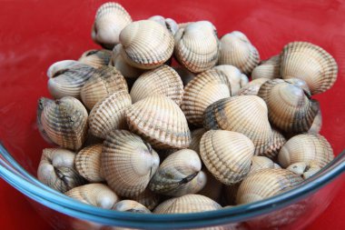 Deniz mahsulleri gibi midyeler.