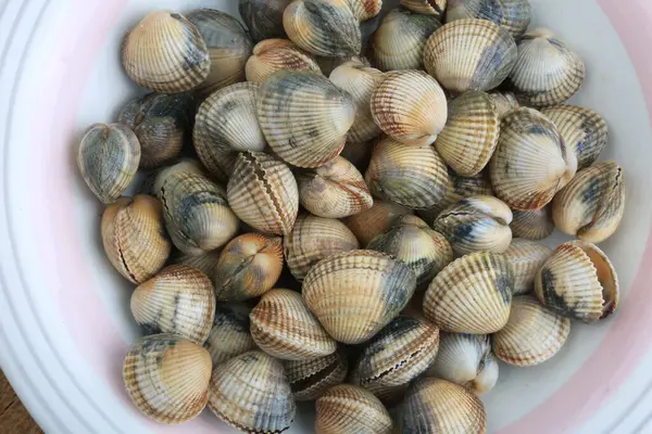 Deniz mahsulleri gibi midyeler.