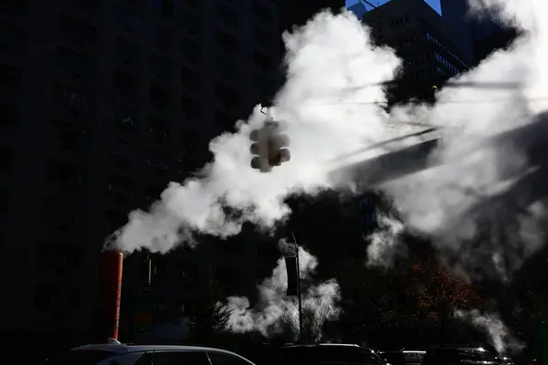 New York şehri şehir manzarası