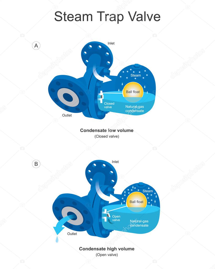 Steam Trap Valve. A steam trap is an automatic valve designed to