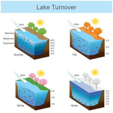 Turnover Gölü. Mevsimlere göre değişirken gölde sıcaklık suyu
