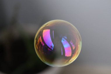 Sabun, köpük, su, renkli, hava