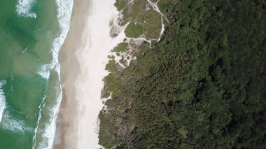 Aerial View Praia Mocambique Florianopolis Brezilya