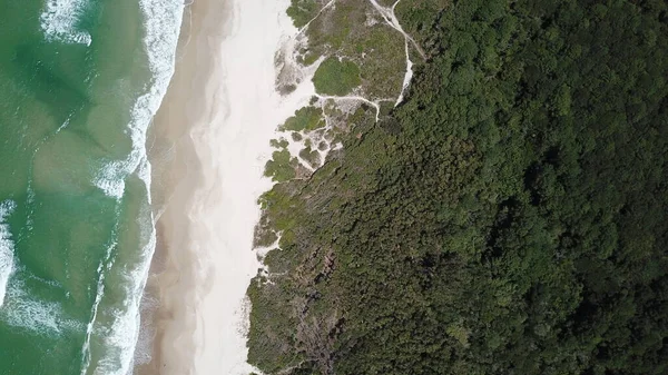Vue Aérienne Praia Mocagara Florianopolis Brésil — Photo