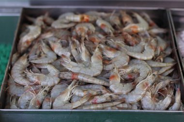 Brezilya 'dan Karides Çiğ Deniz Ürünleri Lezzetli