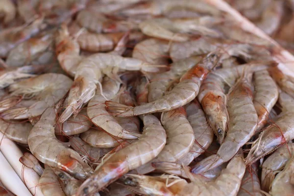 巴西市场的生虾 — 图库照片