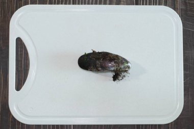 Taze çiğ midye, deniz ürünleri.