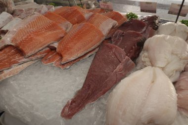 Somon Taze Balık Çiğ Peixaria