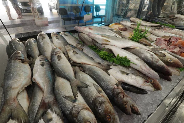 Lax Färsk Fisk Raw Pescado Peixaria — Stockfoto