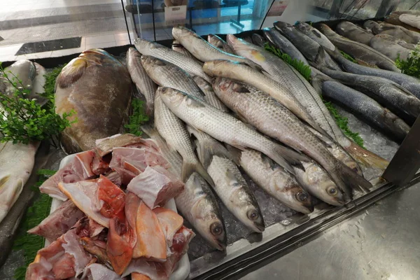 Salmon Fresh Fish Raw Pescado Peixaria — Stock Photo, Image