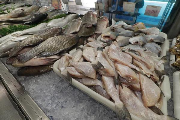 サケ新鮮な魚 Raw Pescado Peixaria — ストック写真