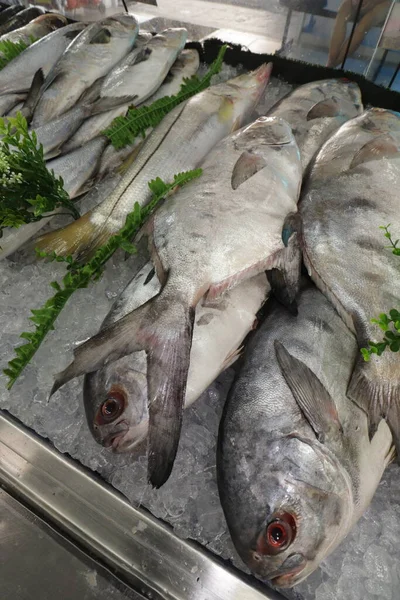 Lax Färsk Fisk Raw Pescado Peixaria — Stockfoto
